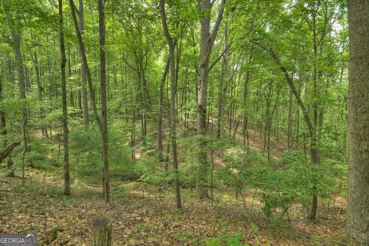 7.89-ac Laurel Springs Road Mineral Bluff, GA 30559 - Photo 27 of 30