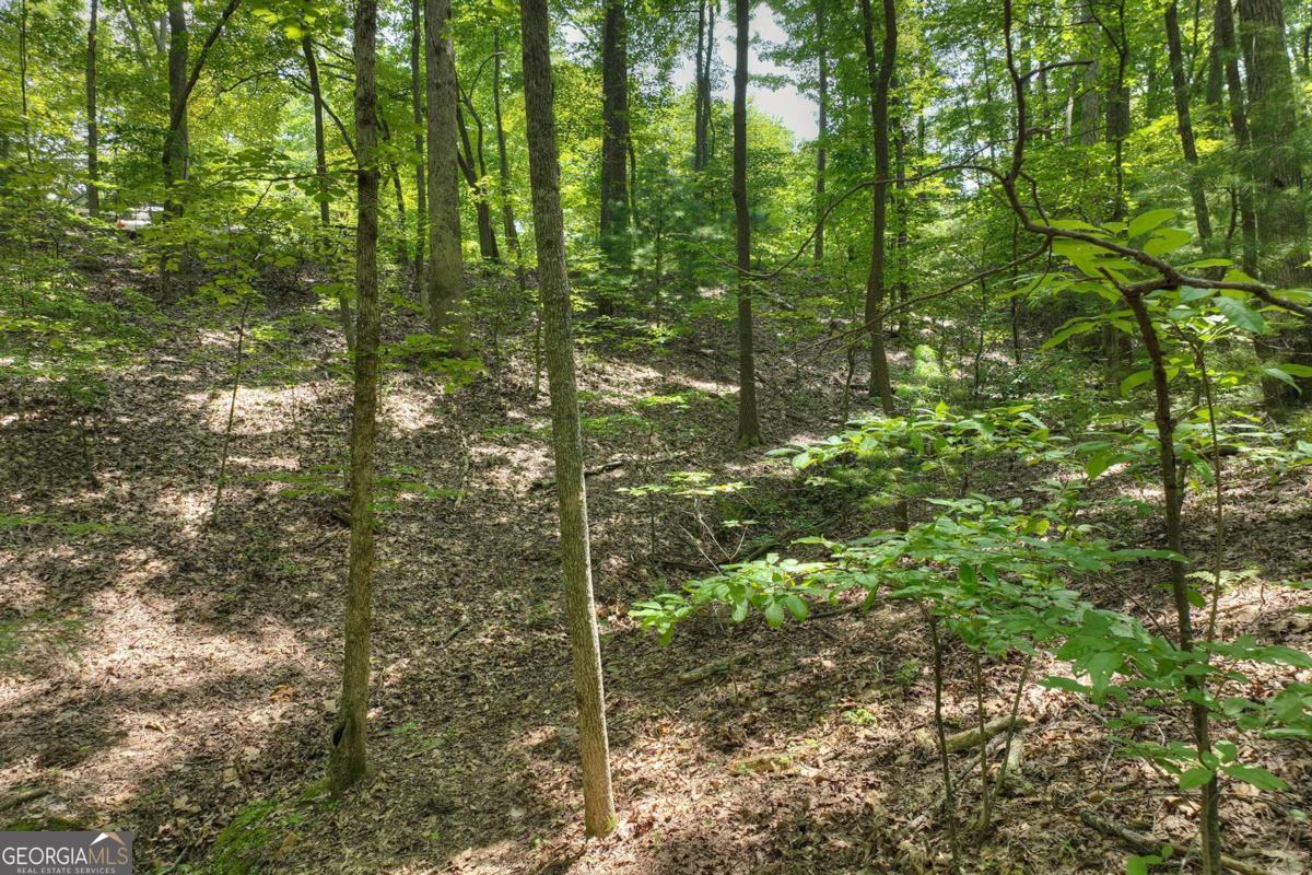 7.89-ac Laurel Springs Road Mineral Bluff, GA 30559 - Photo 6 of 30