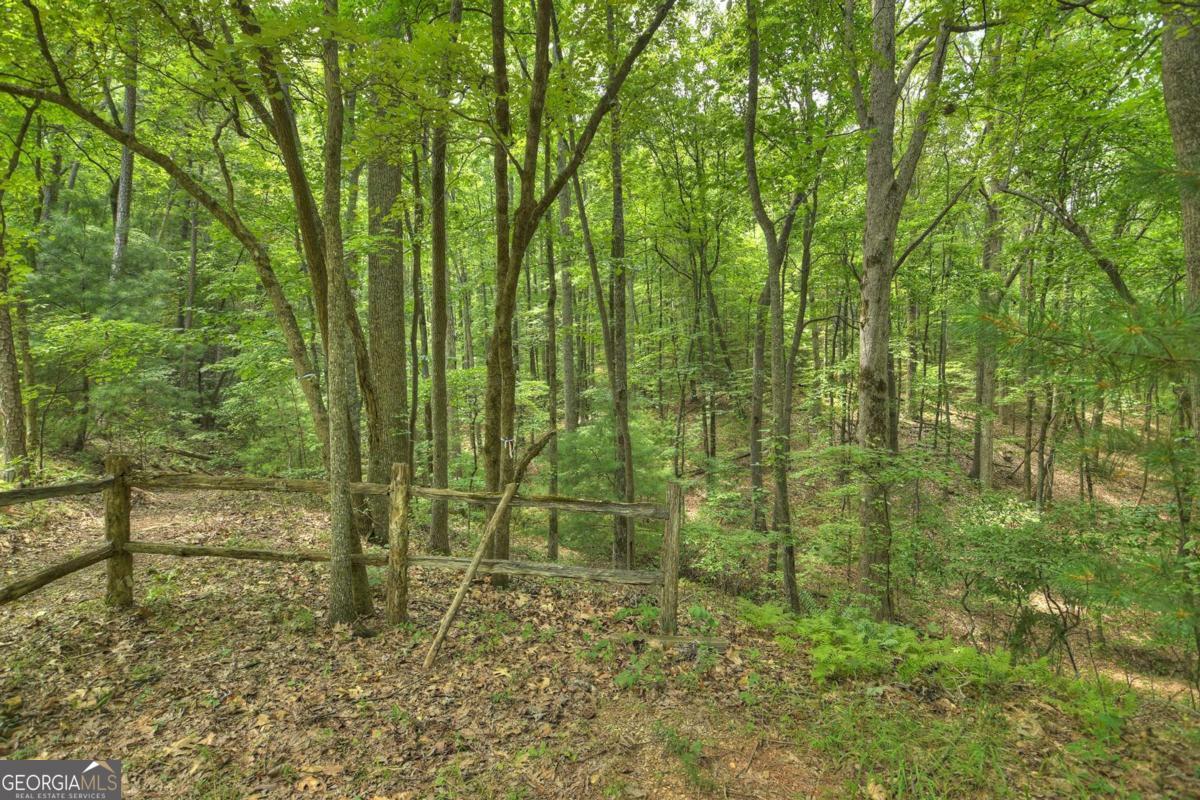 7.89-ac Laurel Springs Road Mineral Bluff, GA 30559 - Photo 10 of 30