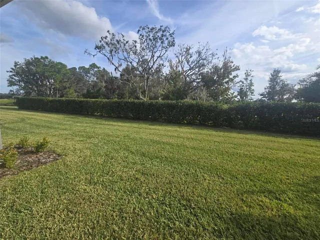 a view of a backyard