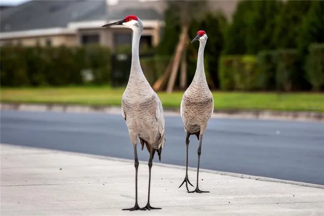 $428,600 | 16307 66th Street East, Parrish, FL 34219