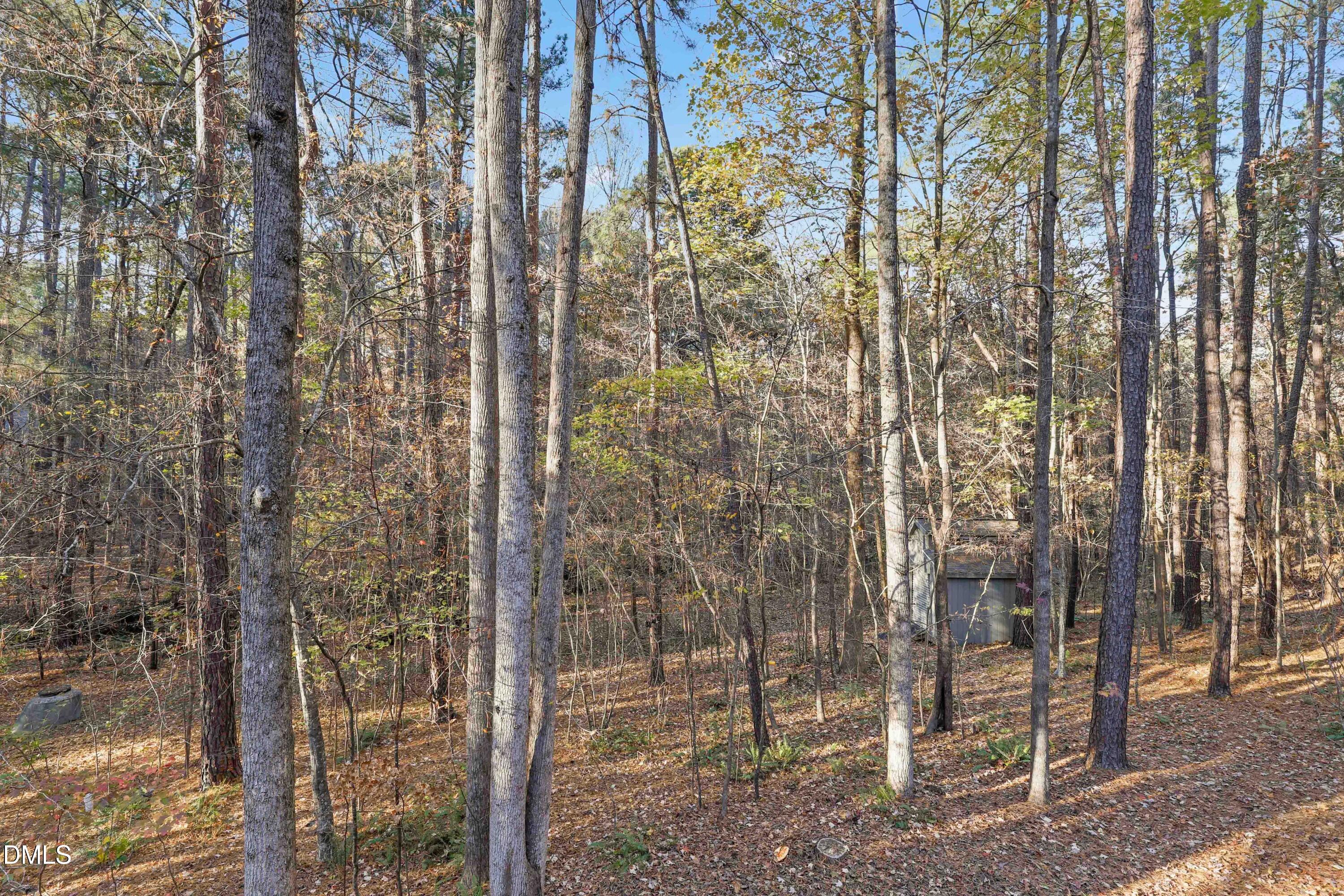 2617 Scarlet Sage Court Raleigh, NC 27613 - Photo 63 of 78 62