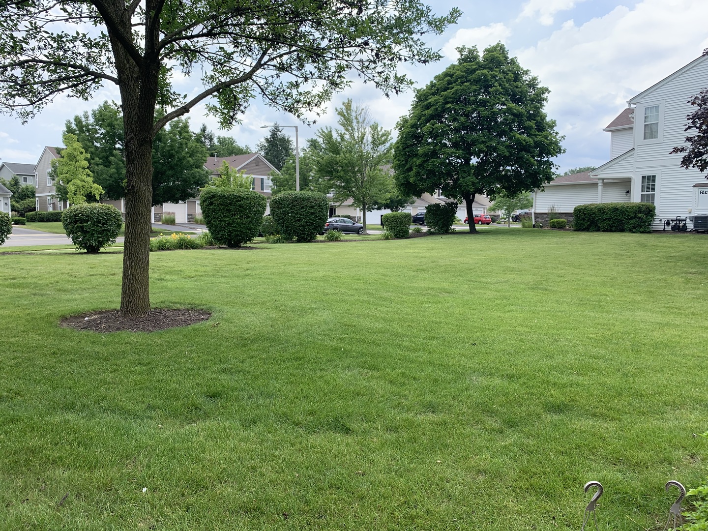 909 Genesee Drive Naperville, IL 60563 - Photo 26 of 26 a view of a trees in front of a house