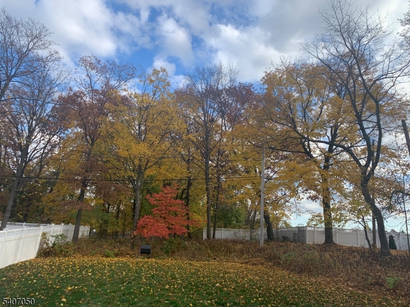 8 Madison Avenue Montclair, NJ 07042 - Photo 41 of 49 a view of a yard with large trees