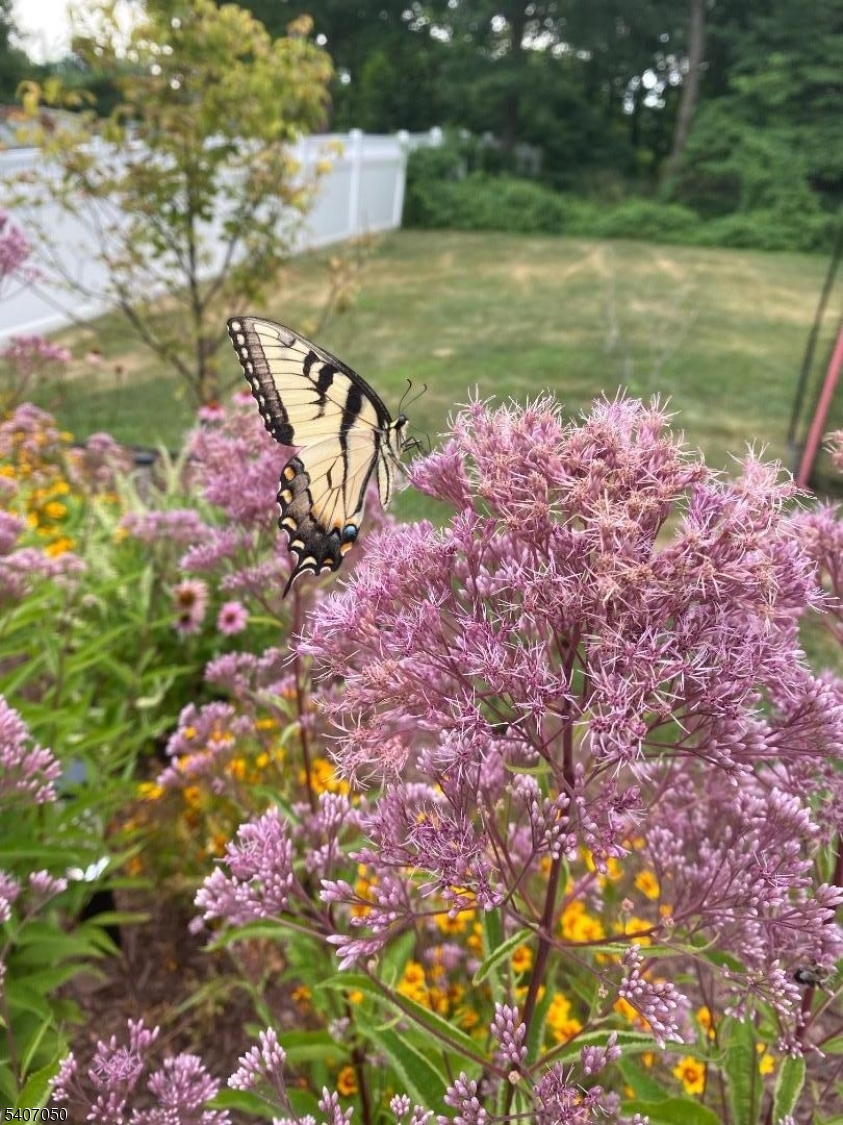 8 Madison Avenue Montclair, NJ 07042 - Photo 46 of 49