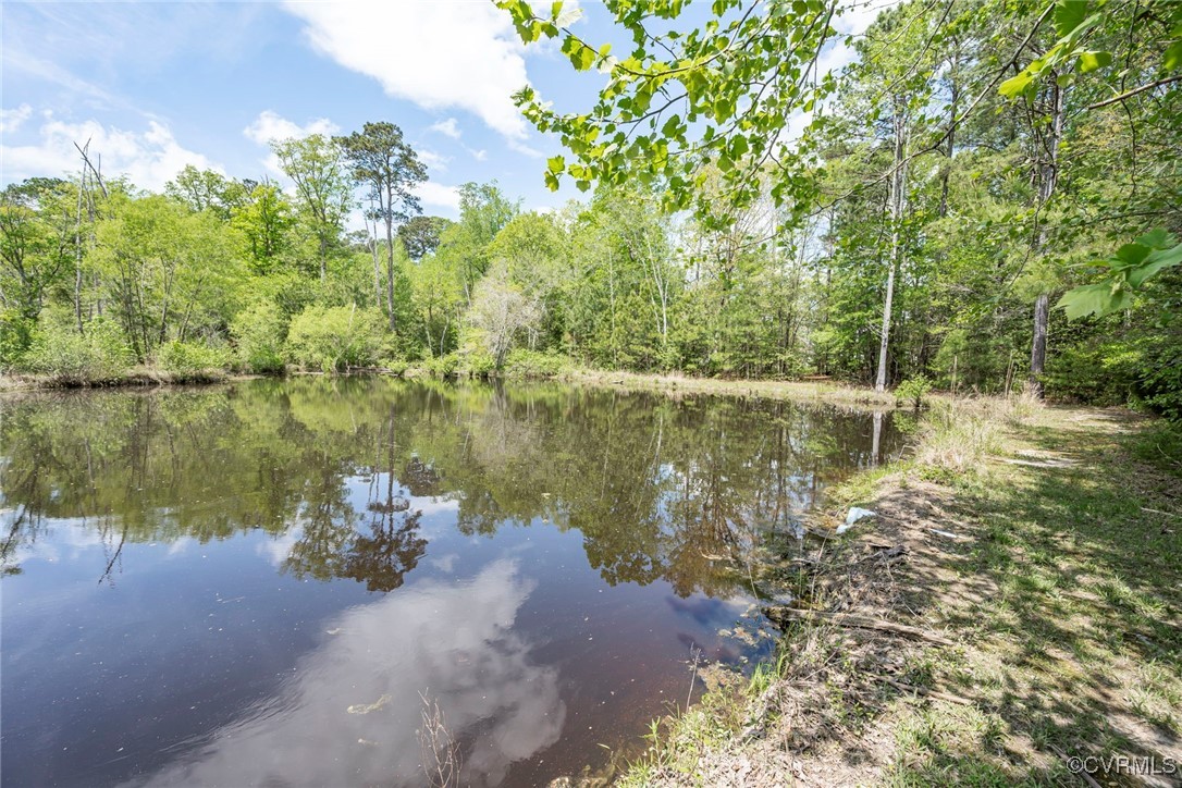 15811 Nobles Road Disputanta, VA 23842 - Photo 39 of 50 Gallery Image 39
