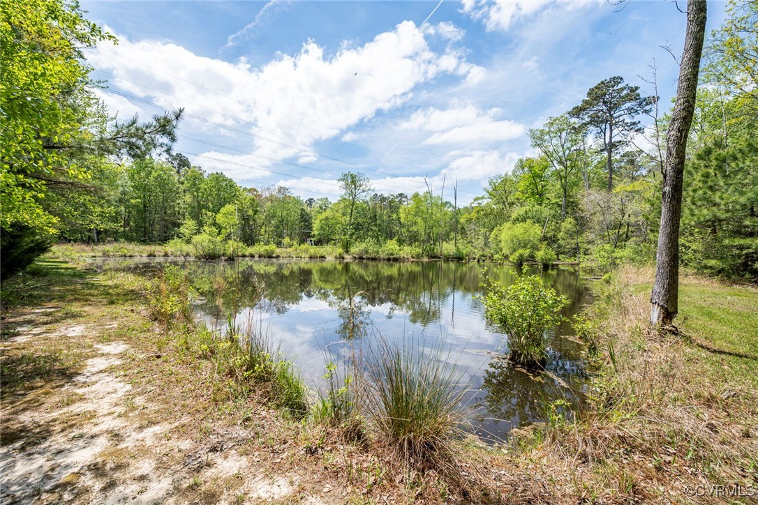 15811 Nobles Road Disputanta, VA 23842 - Photo 40 of 50 Gallery Image 40