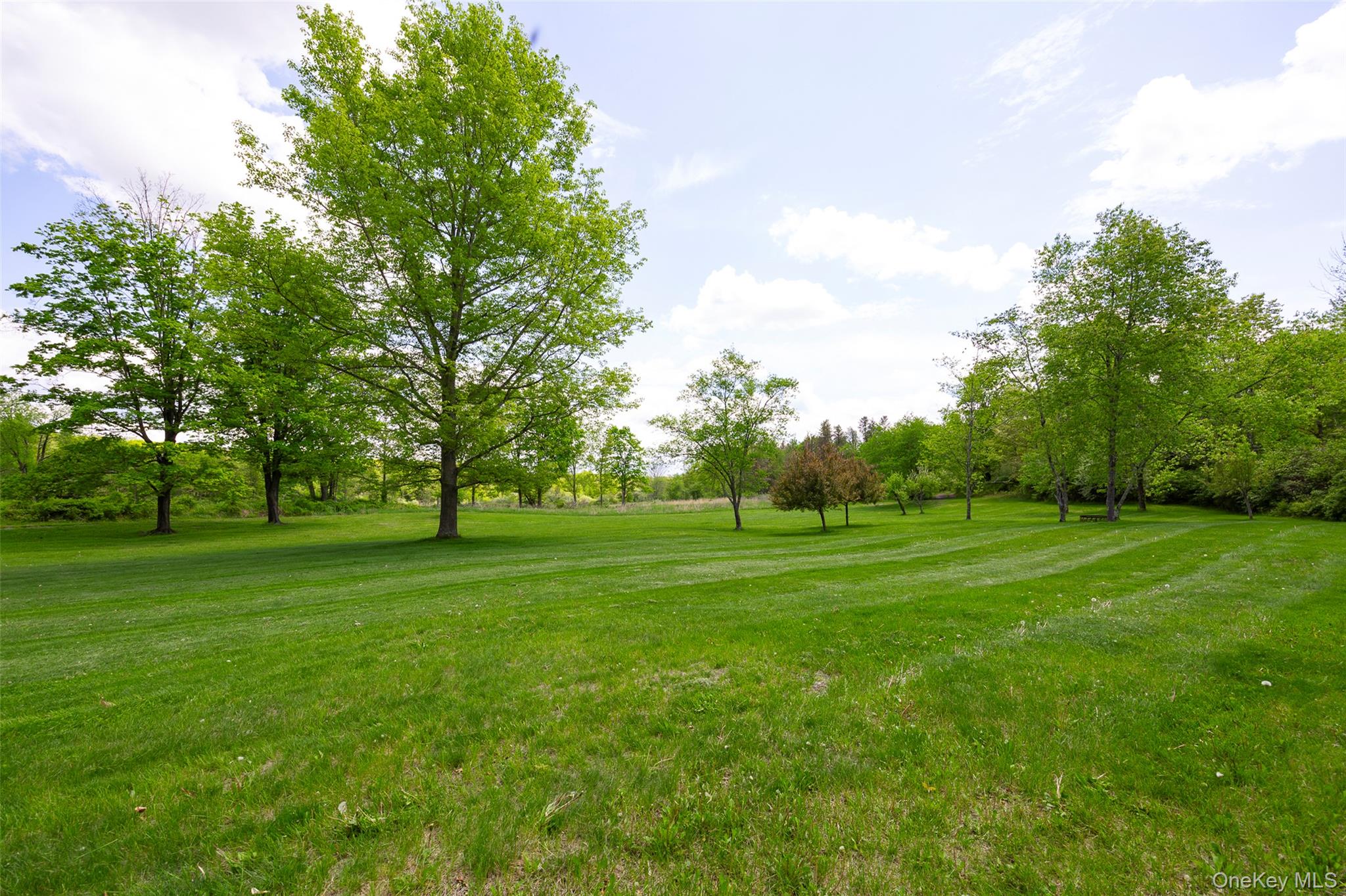 508 Woodstock Road Millbrook, NY 12545 - Photo 25 of 46 a grassy field with trees in the background
