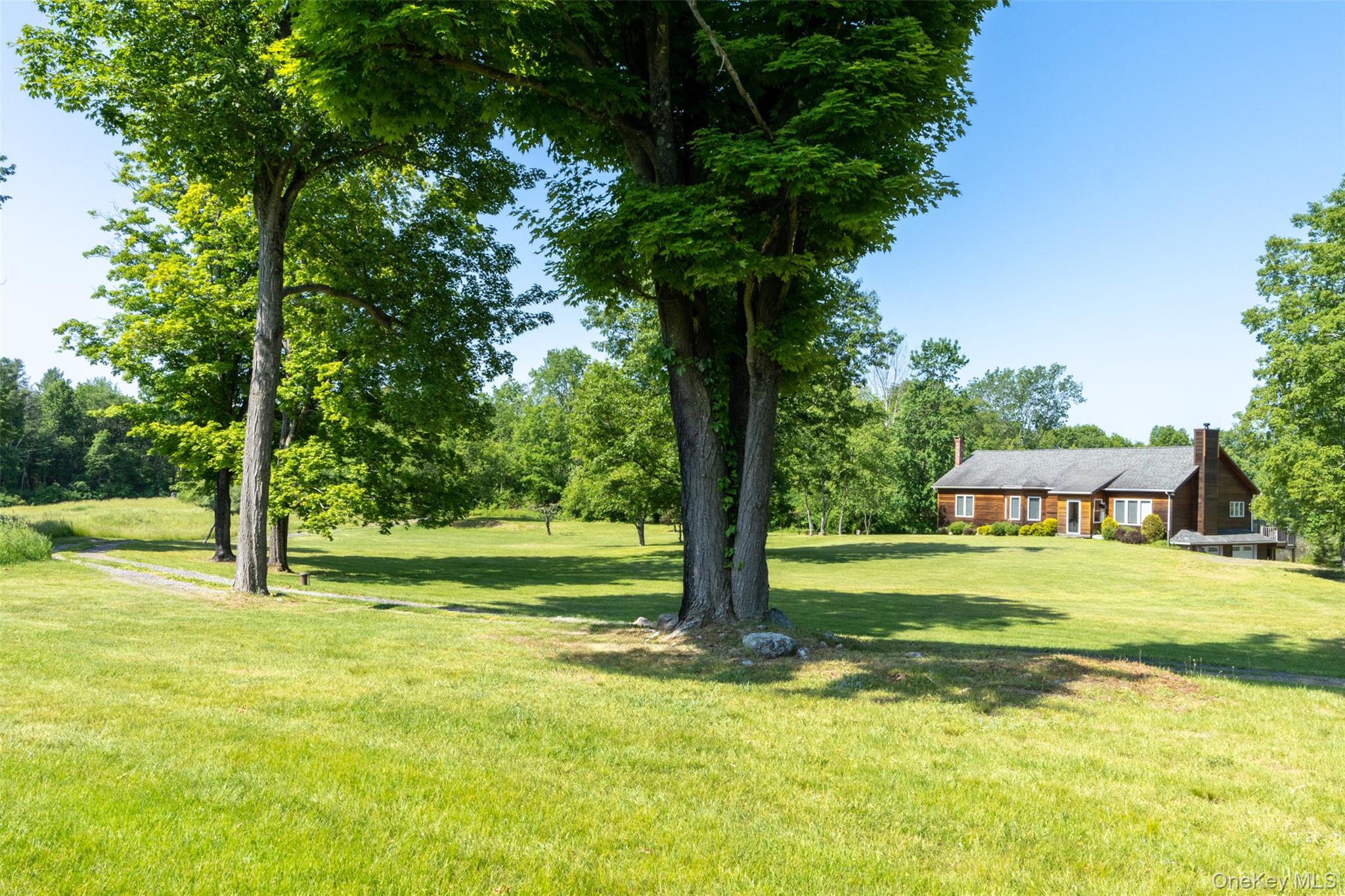 508 Woodstock Road Millbrook, NY 12545 - Photo 35 of 46 a view of a trees in a yard