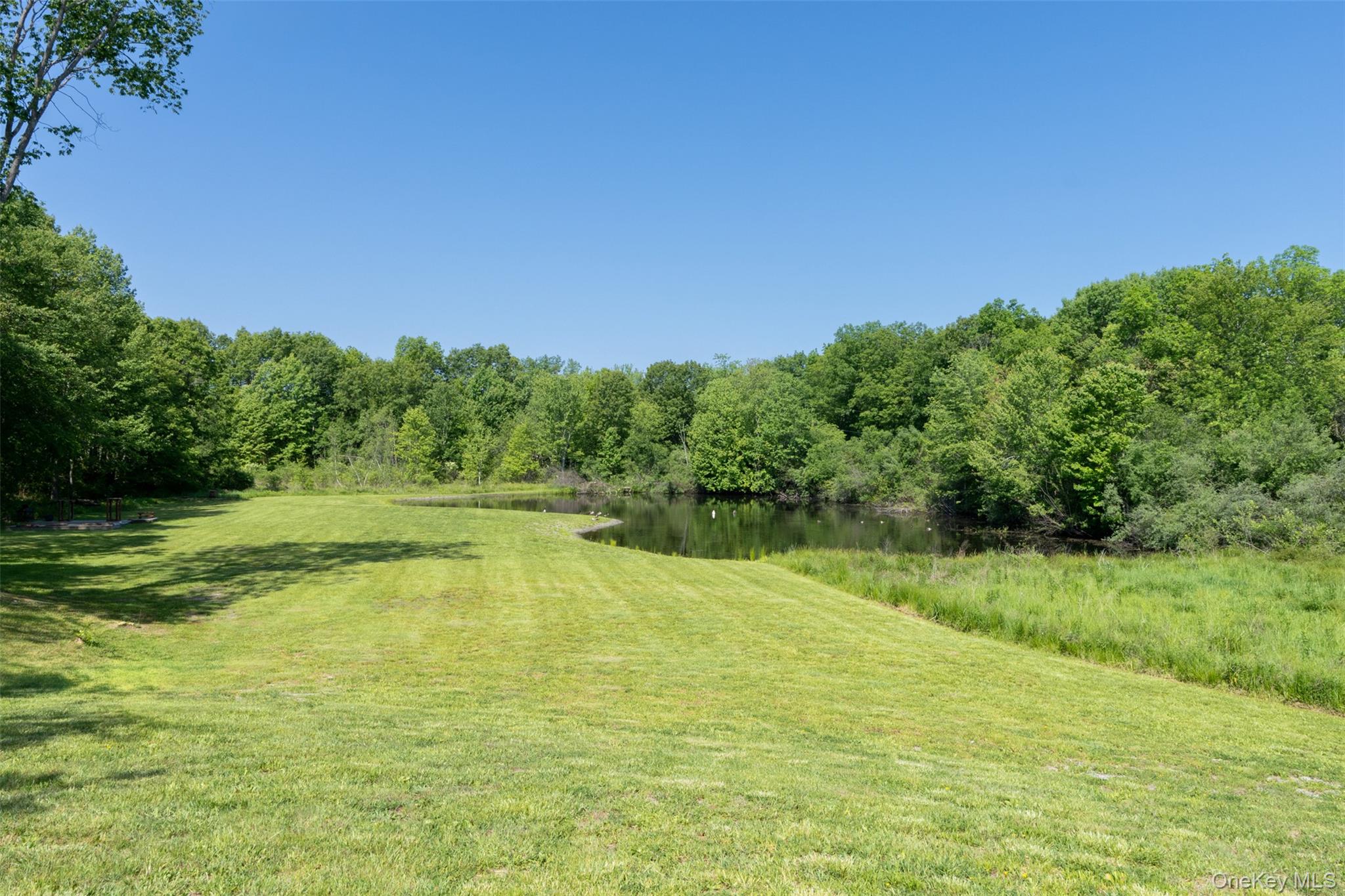 508 Woodstock Road Millbrook, NY 12545 - Photo 7 of 46 a view of a lake with a yard