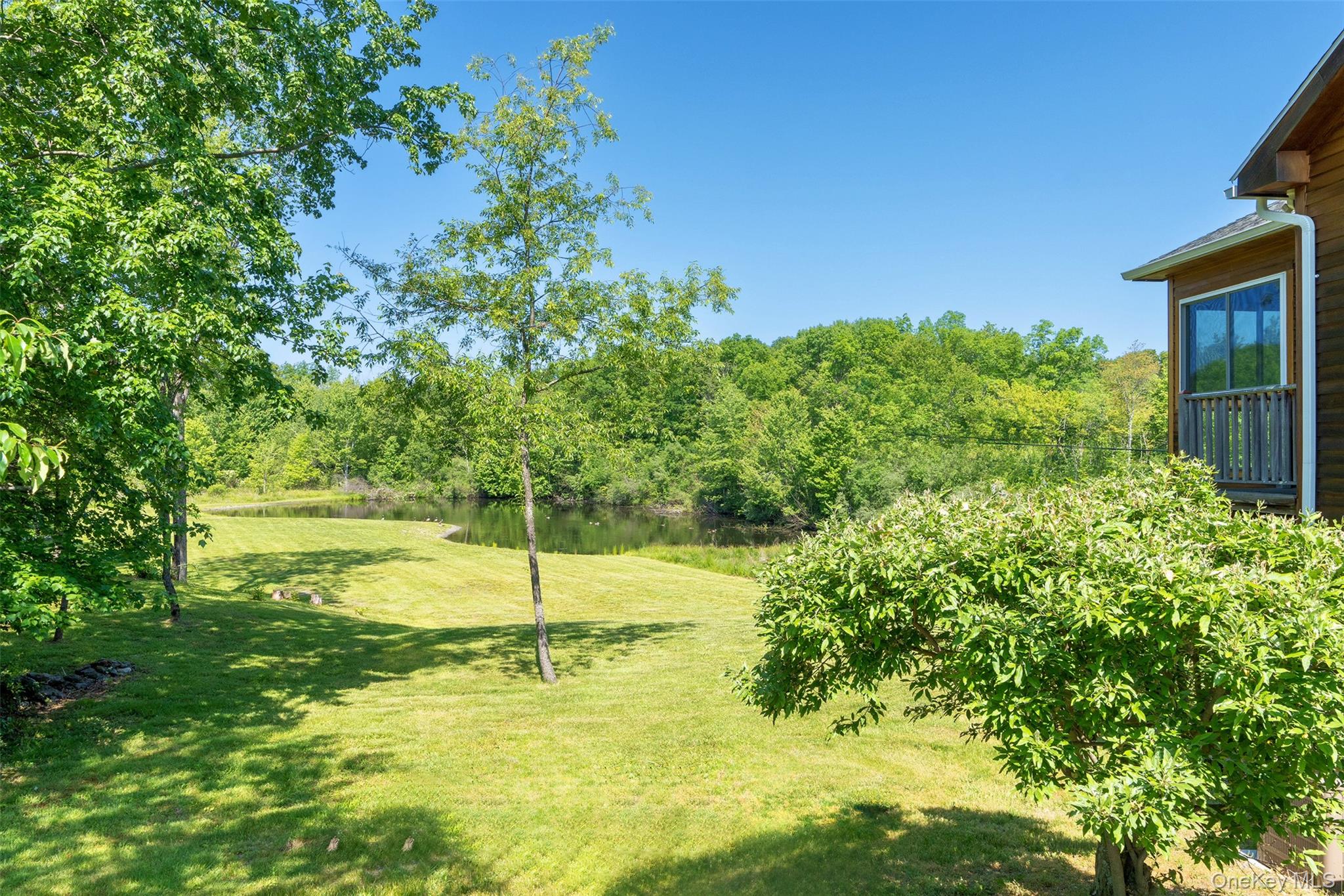 508 Woodstock Road Millbrook, NY 12545 - Photo 8 of 46 a view of a yard with an tree