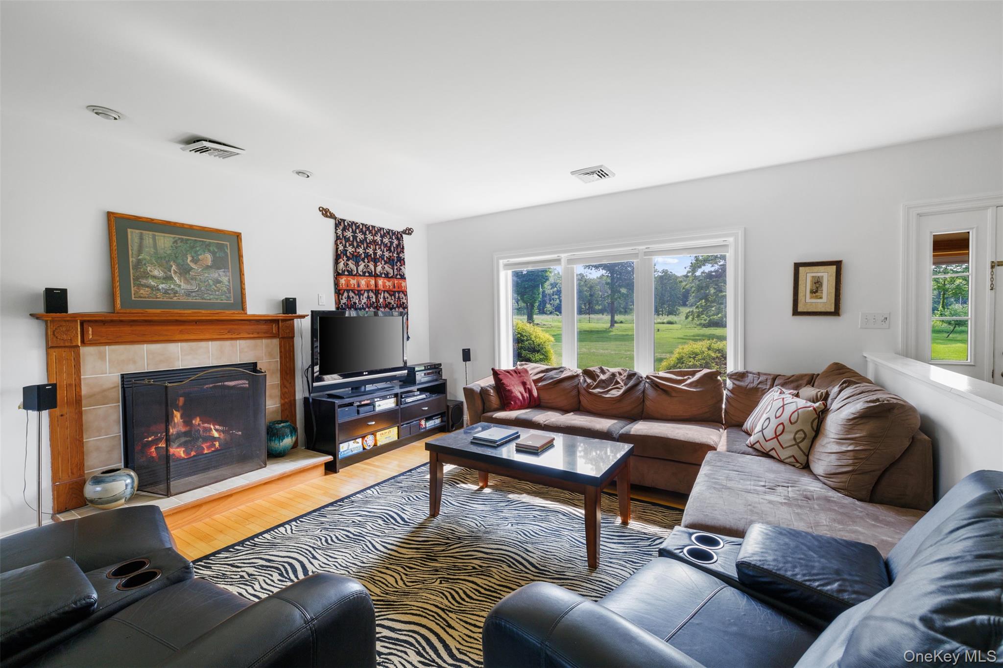 508 Woodstock Road Millbrook, NY 12545 - Photo 10 of 46 a living room with furniture and a fireplace