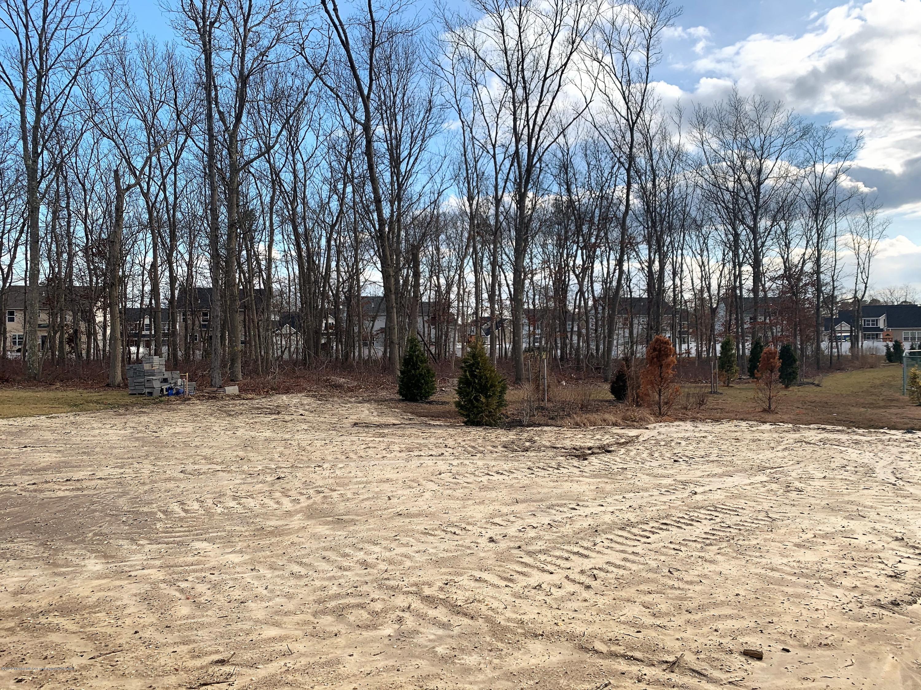 110 Bridle Path Bayville, NJ 08721 - Photo 3 of 4 Yard to Woods