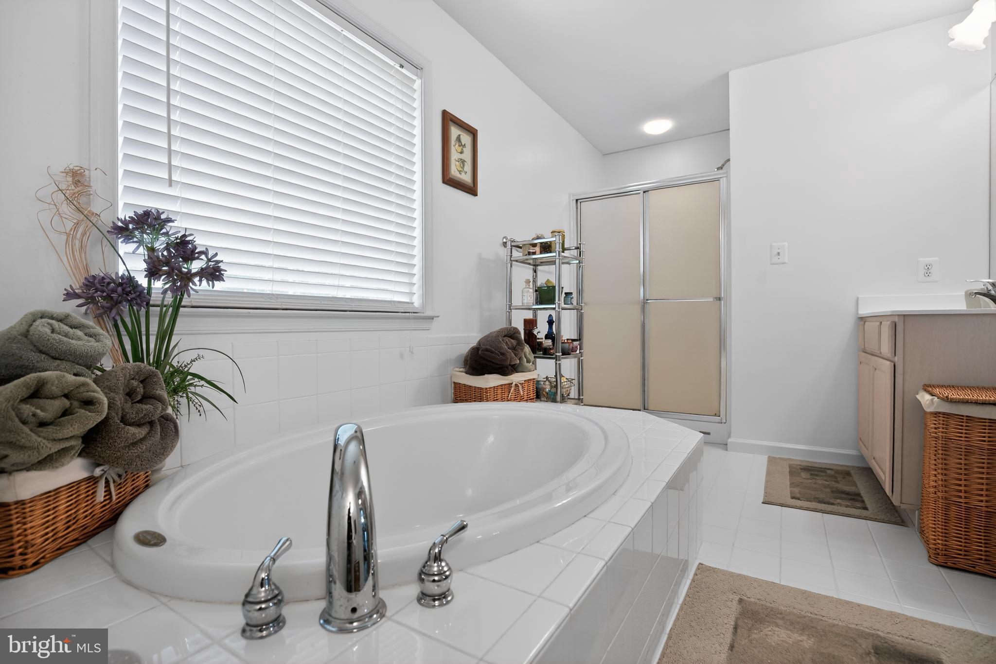 1810 Rudolph Lane Lusby, MD 20657 - Photo 20 of 40 Soaking tub & shower