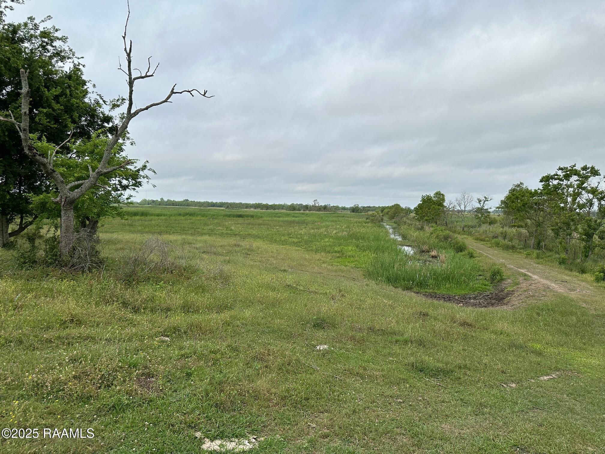 0 Boyance Road Erath, LA 70533 - Photo 13 of 18 IMG_2602