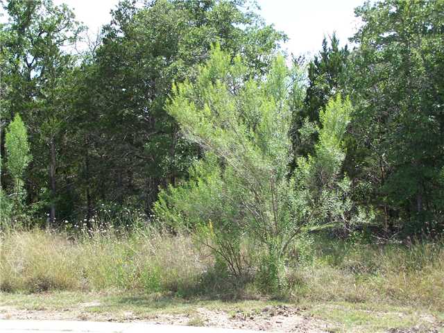 170 Winchester Road Bastrop, TX 78602 - Photo 1 of 1 Gallery Image 1