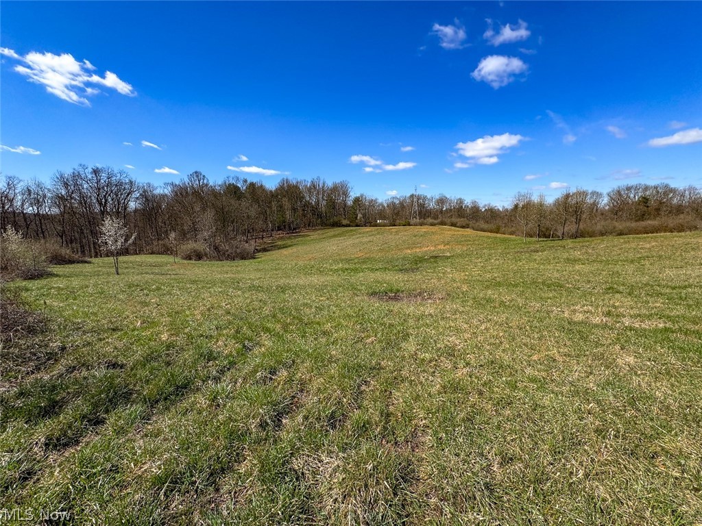 6880 Shaver Road Blue Rock, OH 43720 - Photo 13 of 36
