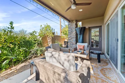 a living room with furniture and a potted plant