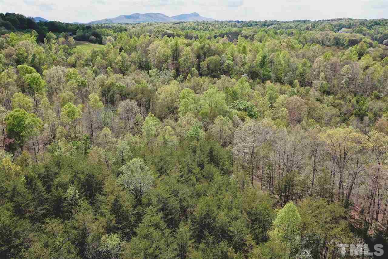 24.6-ac Sheppard Mill Road Sandy Ridge, NC 27046 - Photo 22 of 25