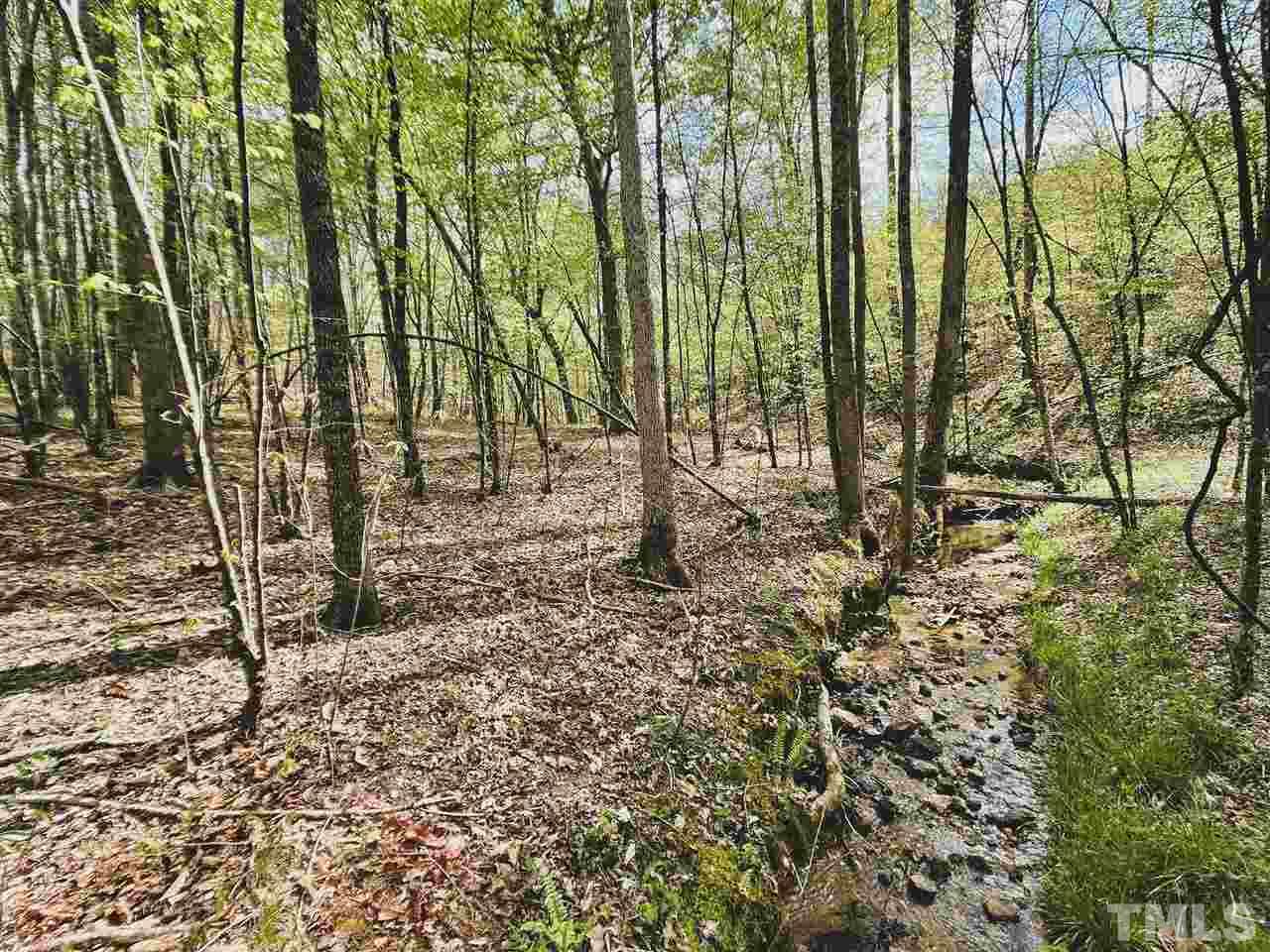 24.6-ac Sheppard Mill Road Sandy Ridge, NC 27046 - Photo 4 of 25