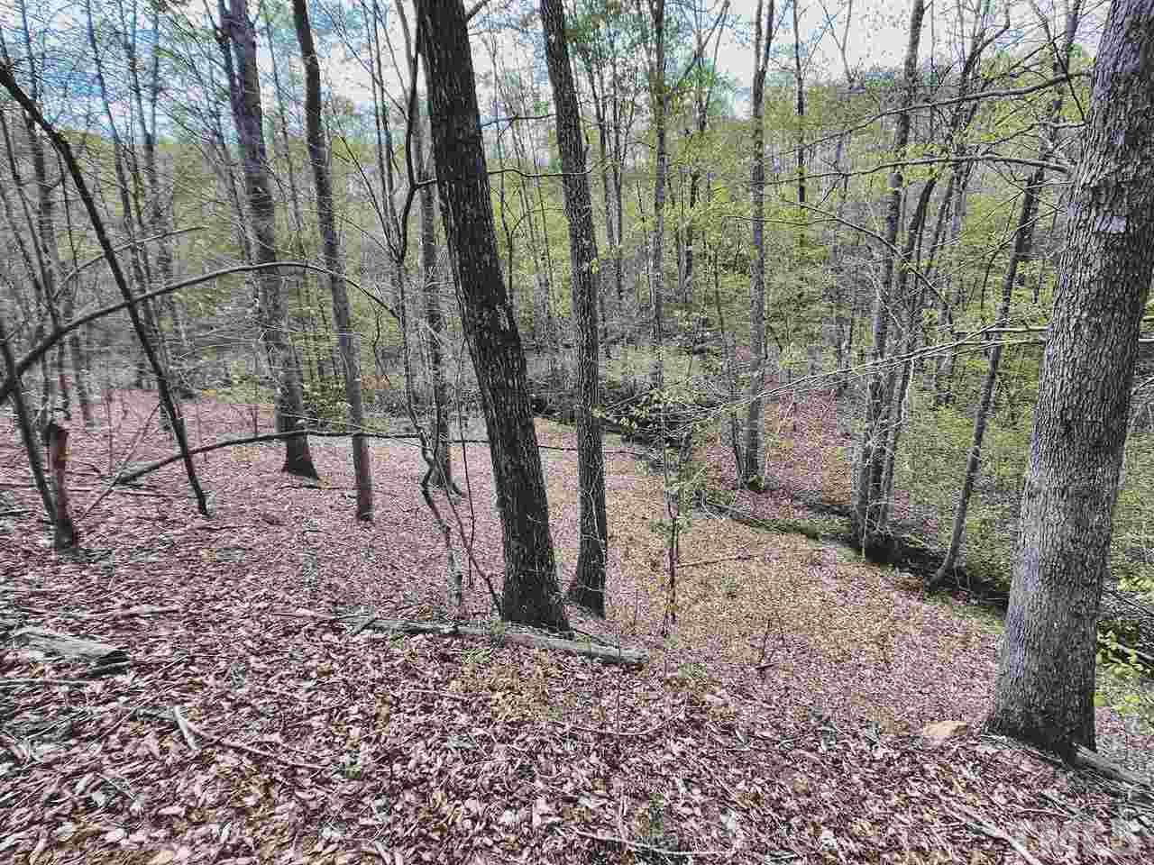 24.6-ac Sheppard Mill Road Sandy Ridge, NC 27046 - Photo 5 of 25