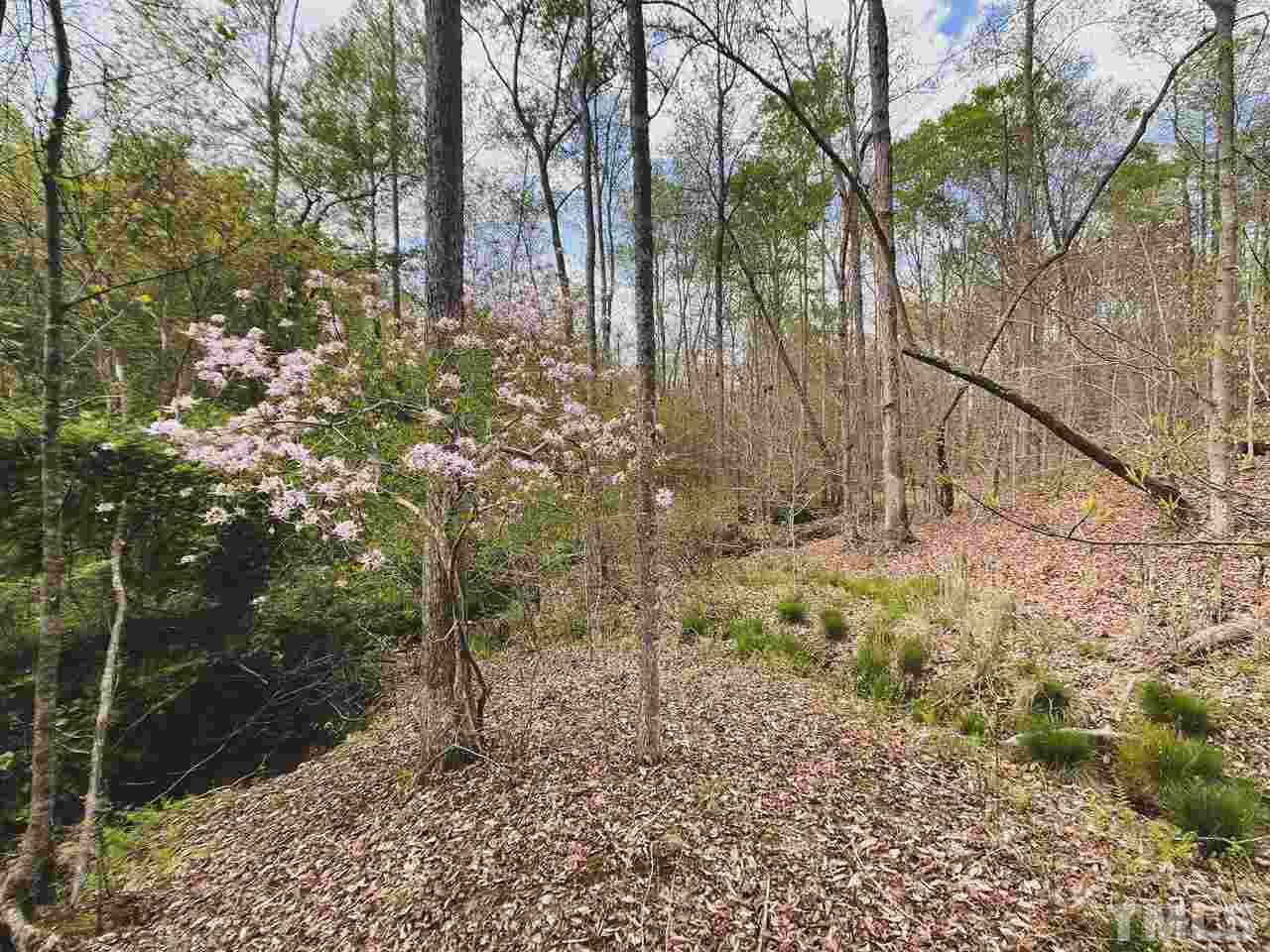 24.6-ac Sheppard Mill Road Sandy Ridge, NC 27046 - Photo 8 of 25