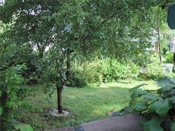 59 Gretter Road Boston, MA 02132 - Photo 7 of 7 Gallery Image 7