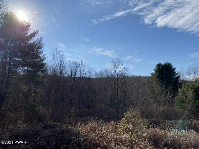 42 Vale Road Windsor, NY 13865 - Photo 11 of 31 view from deck