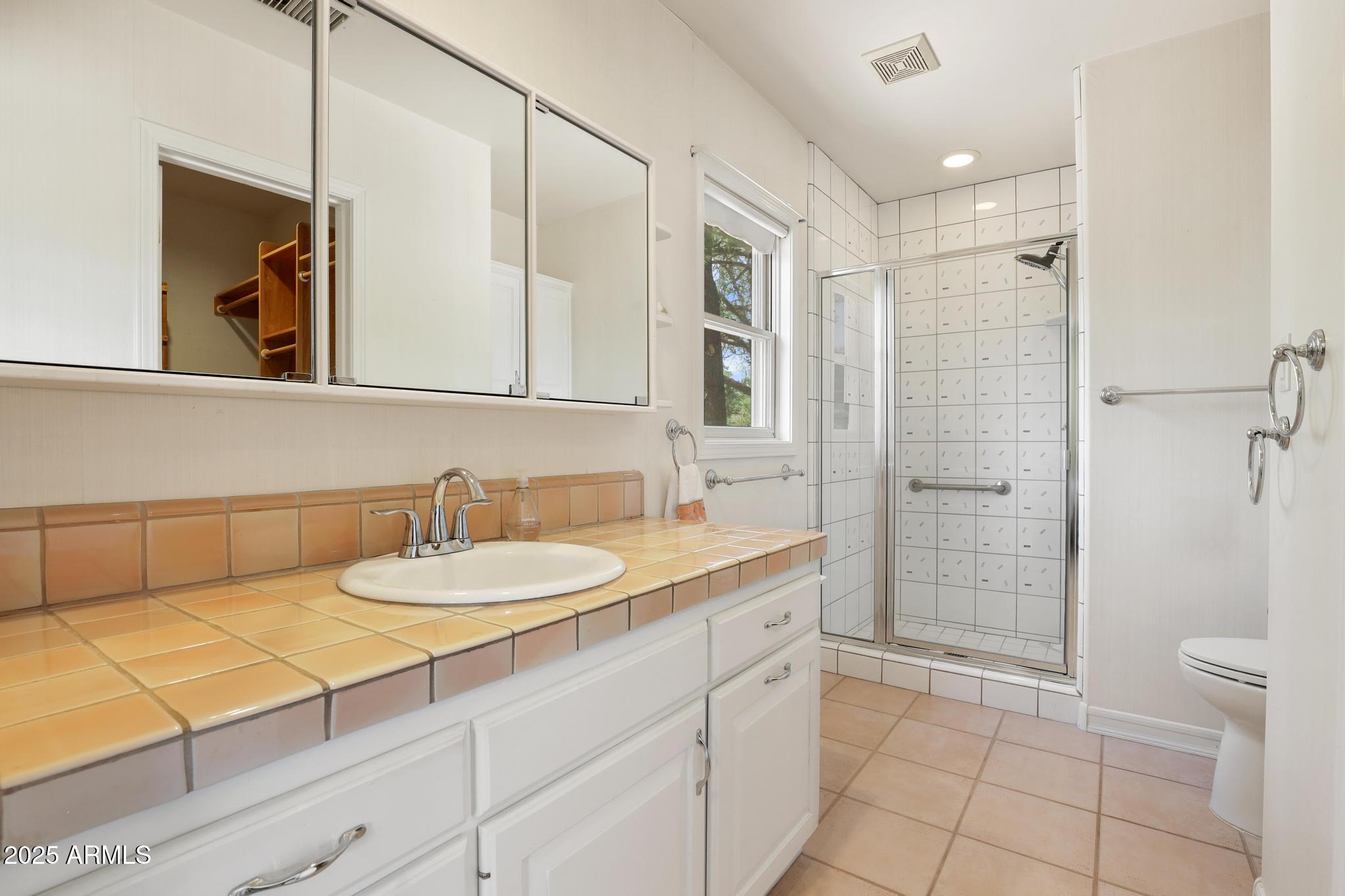 503 West Locust Road Payson, AZ 85541 - Photo 19 of 40 a bathroom with a sink a toilet and shower