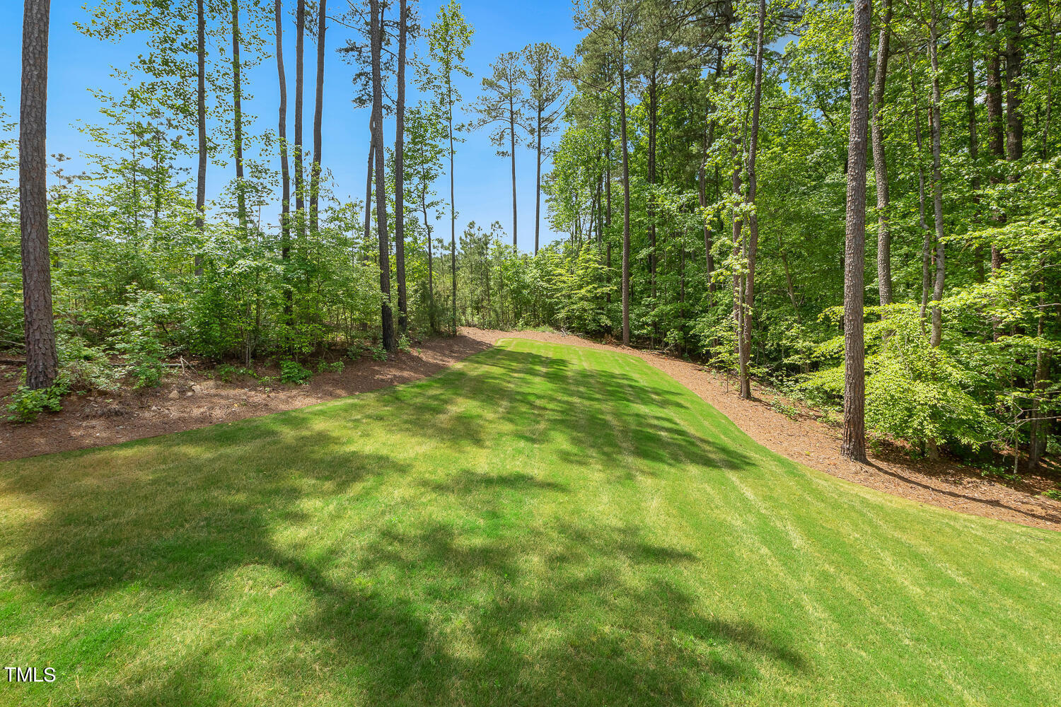 900 Harrison Ridge Road Wake Forest, NC 27587 - Photo 70 of 78 a view of a yard with plants and large trees