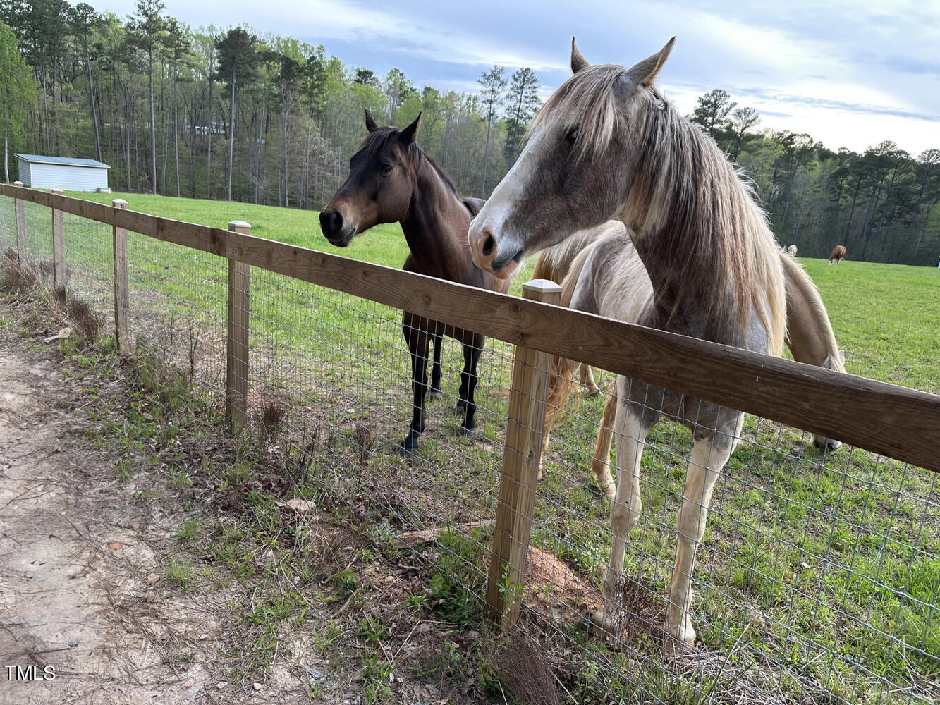 900 Harrison Ridge Road Wake Forest, NC 27587 - Photo 78 of 78 900 Harrison Ridge Rd Wake-large-128-106