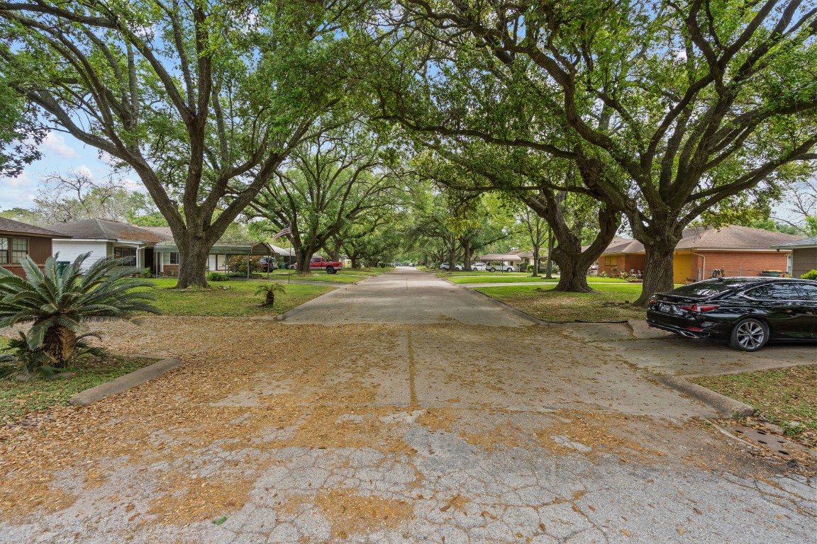 1126 Orange Street La Marque, TX 77568 - Photo 5 of 36 View of Orange St and GIANT oak tree canopy