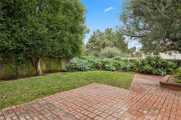 a view of a yard with plants and a bench