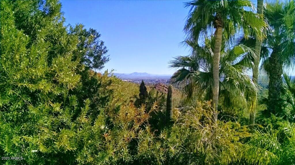 5626 East Wonderview Road Phoenix, AZ 85251 - Photo 28 of 46 Deck view 1