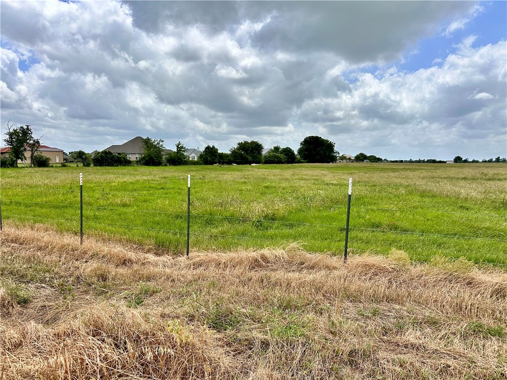 Tbd Alexander Road Bryan, TX 77808 - Photo 3 of 8