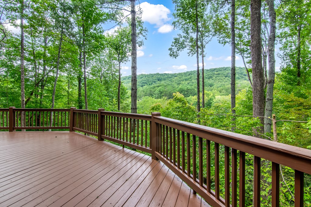 83 Mountain Brook Lane Blue Ridge, GA 30513 - Photo 10 of 56