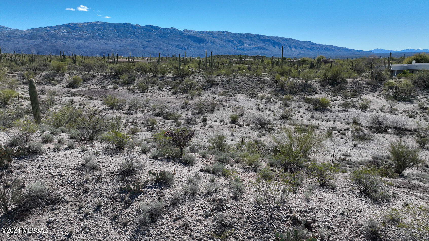 12555 East Fort Lowell Road Tucson, AZ 85749 - Photo 9 of 24 Gallery Image 9