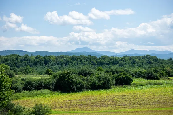 $1,795,000 | 6 Luke Lane, Shelburne, VT 05482