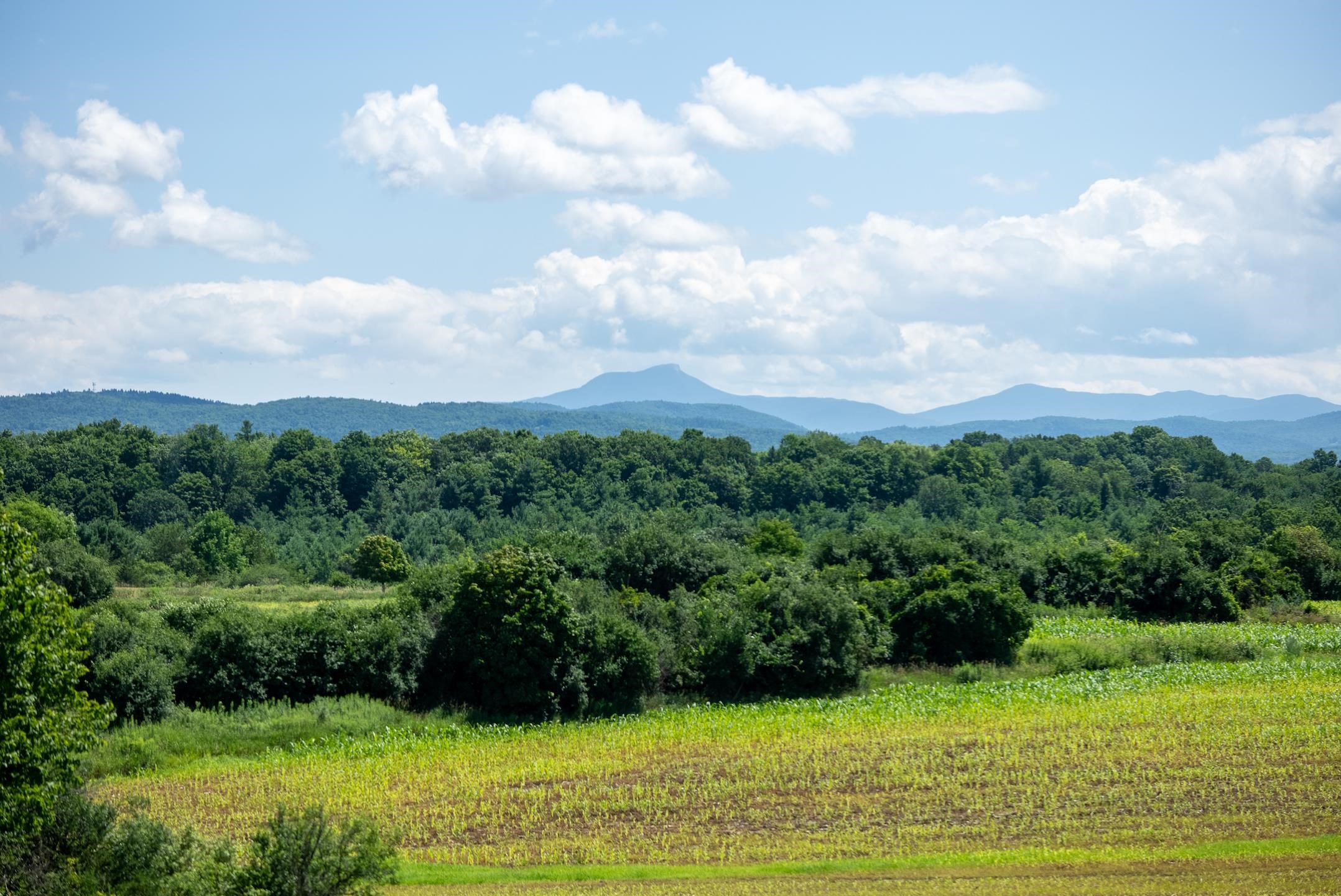 6 Luke Lane Shelburne, VT 05482 - Photo 36 of 36