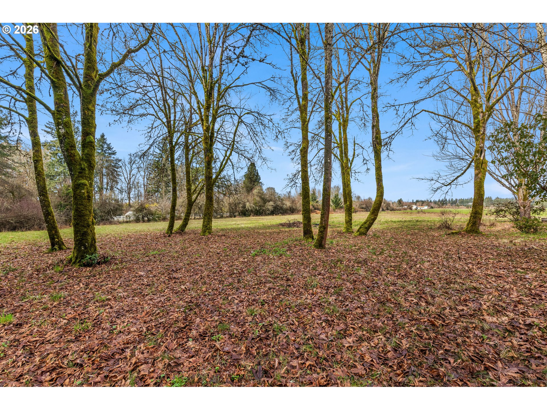 5565 Southwest Kruse Road, Unit 2 Wilsonville, OR 97070 - Photo 12 of 34