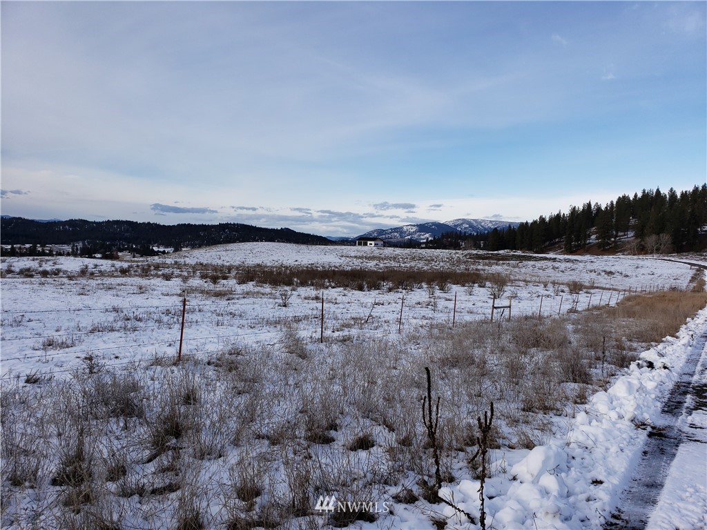 878 Mahoney Road Colville, WA 99114 - Photo 3 of 37