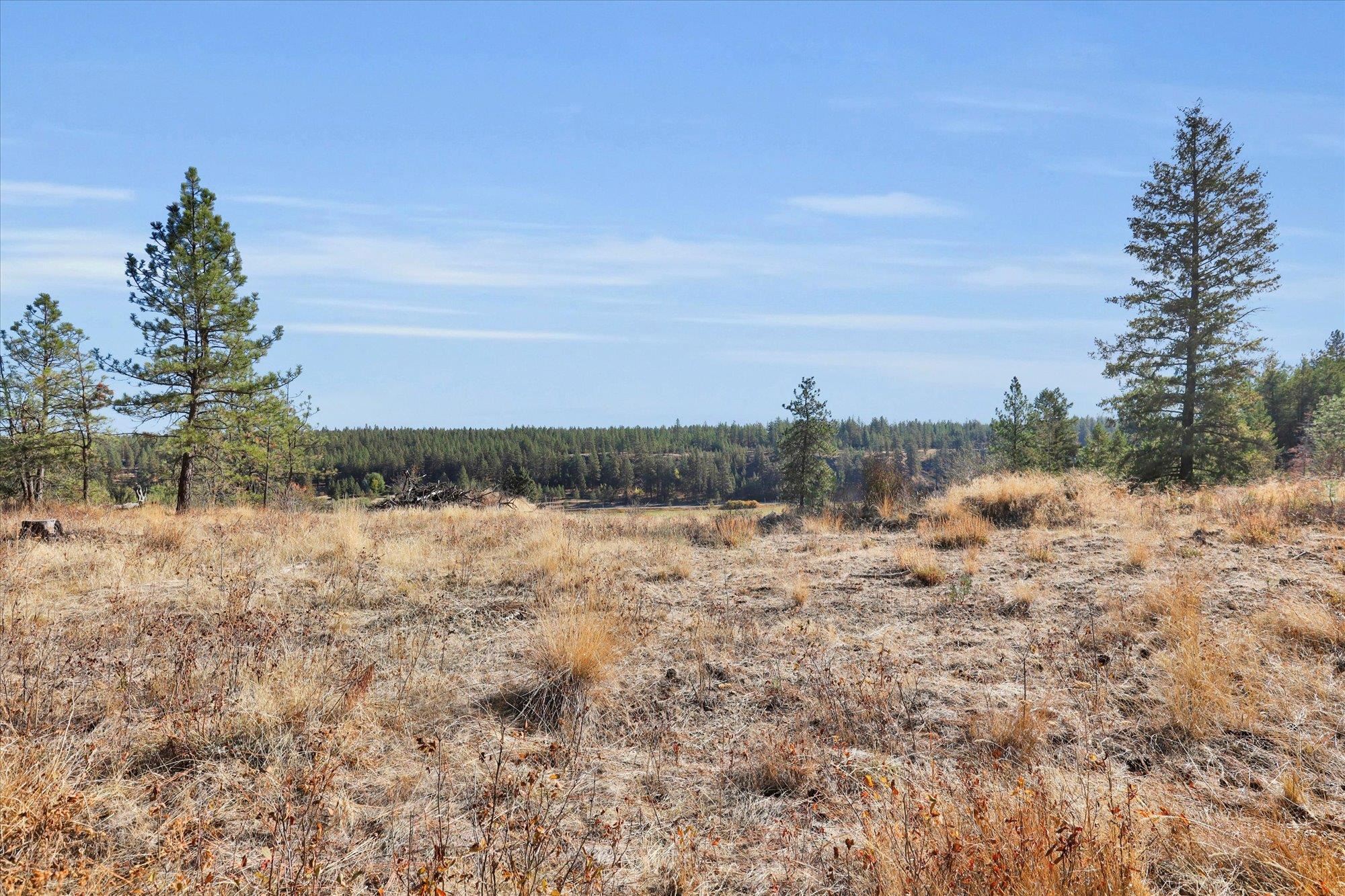 Tbd South Scribner Road, Unit PARCEL #24272 9065 Cheney, WA 99004 - Photo 24 of 26