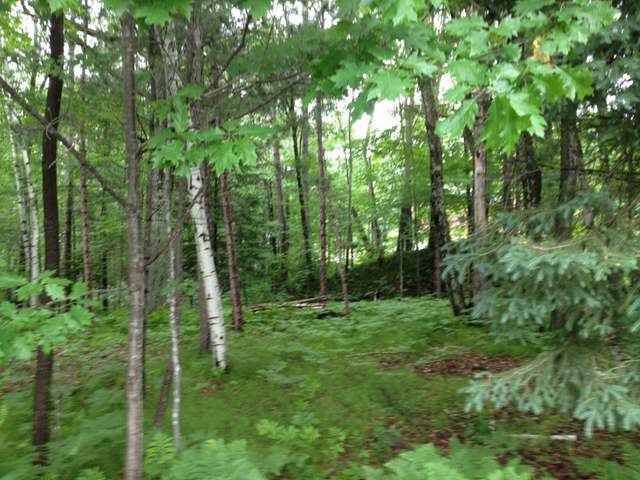 Lot B Rolling Ridge Road Tomahawk, WI 54487 - Photo 12 of 13 Gallery Image 12