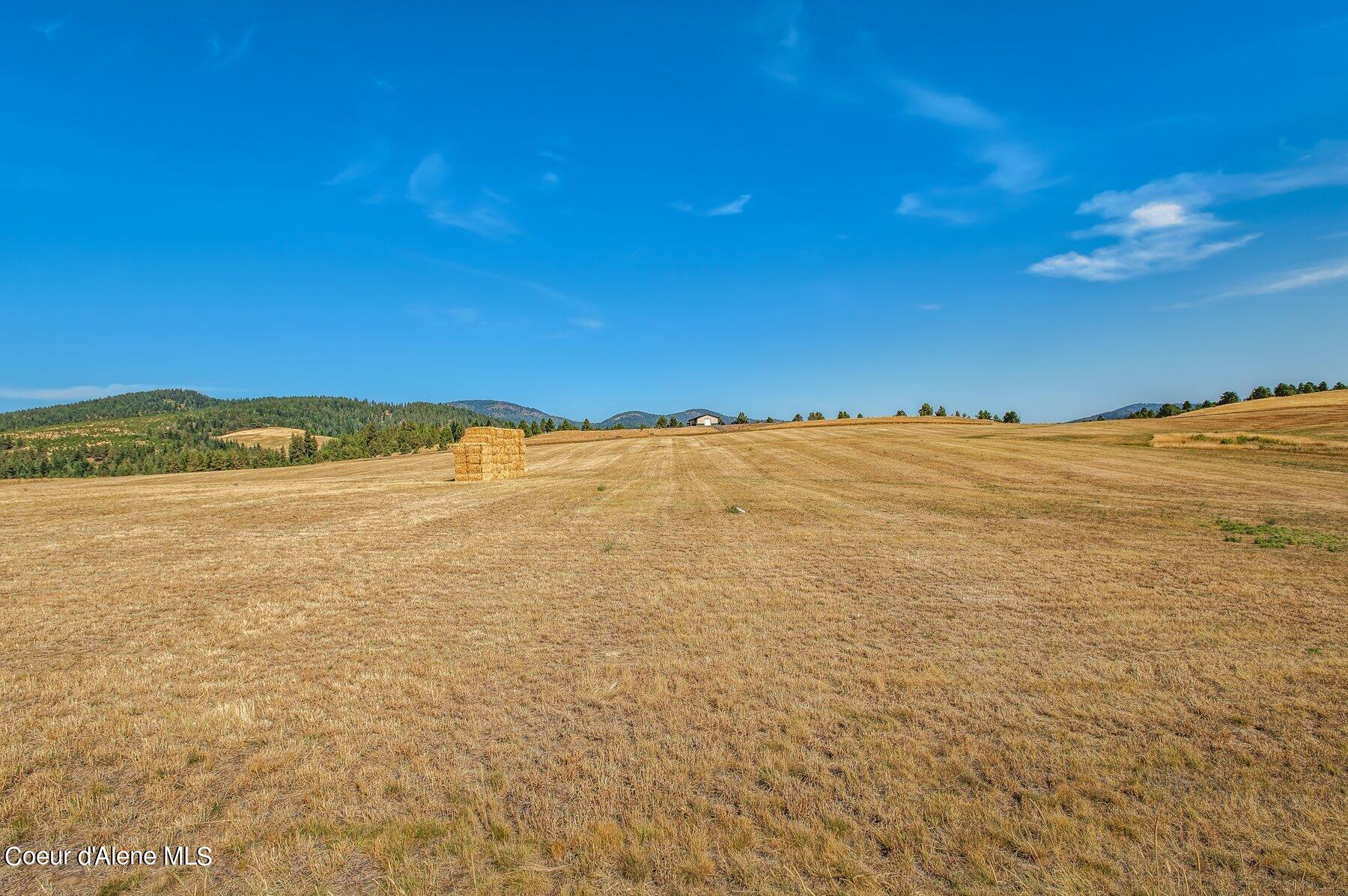Nka Nka Miskin Road Worley, ID 83876 - Photo 5 of 42 --4.jpg-SMALL