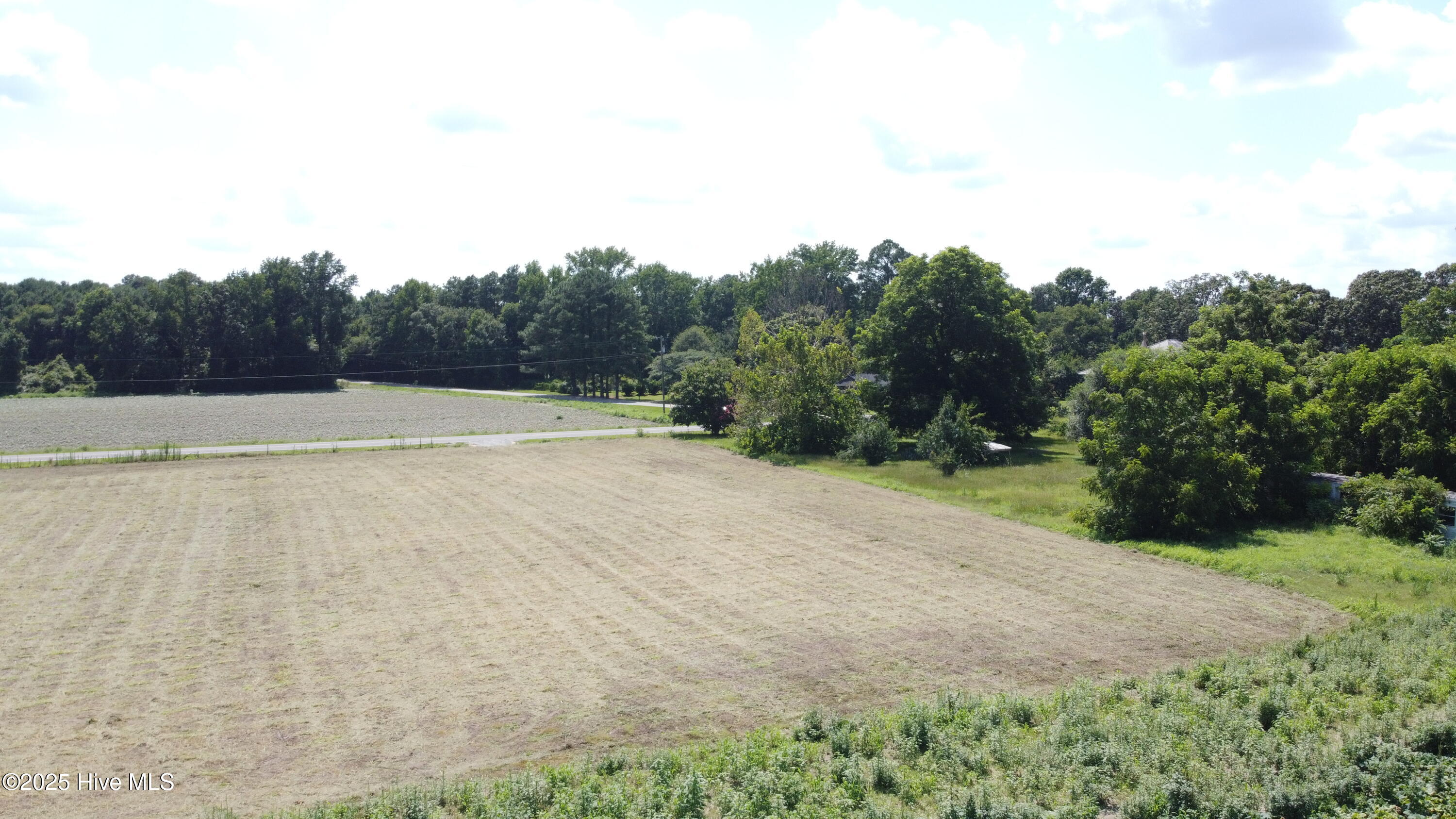 0 Suttontown Road Faison, NC 28341 - Photo 4 of 13 DJI_0291