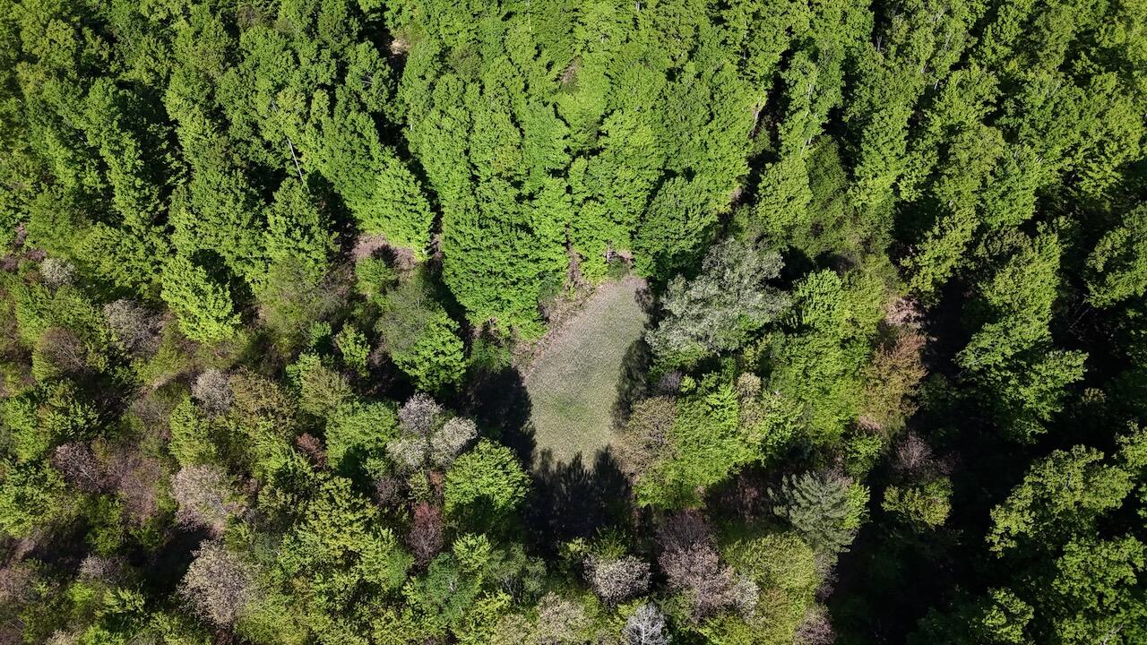 11547 1 Mile Road Leroy, MI 49655 - Photo 44 of 73 35_