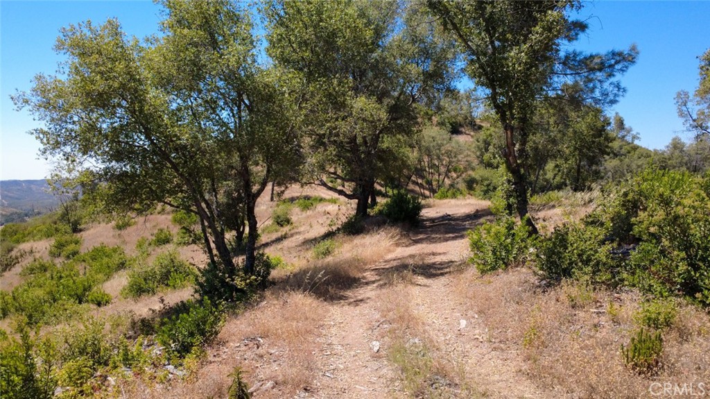 0 Bumguardner Mountain Road Mariposa, CA 95338 - Photo 6 of 36 Nice access road.