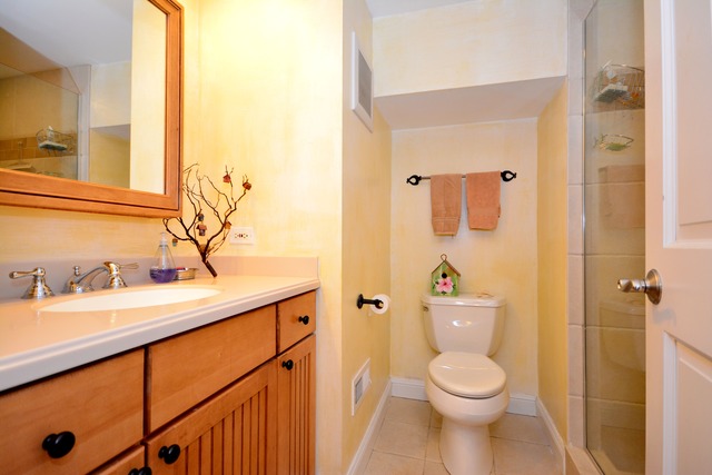 717 Elmore Street Park Ridge, IL 60068 - Photo 15 of 24