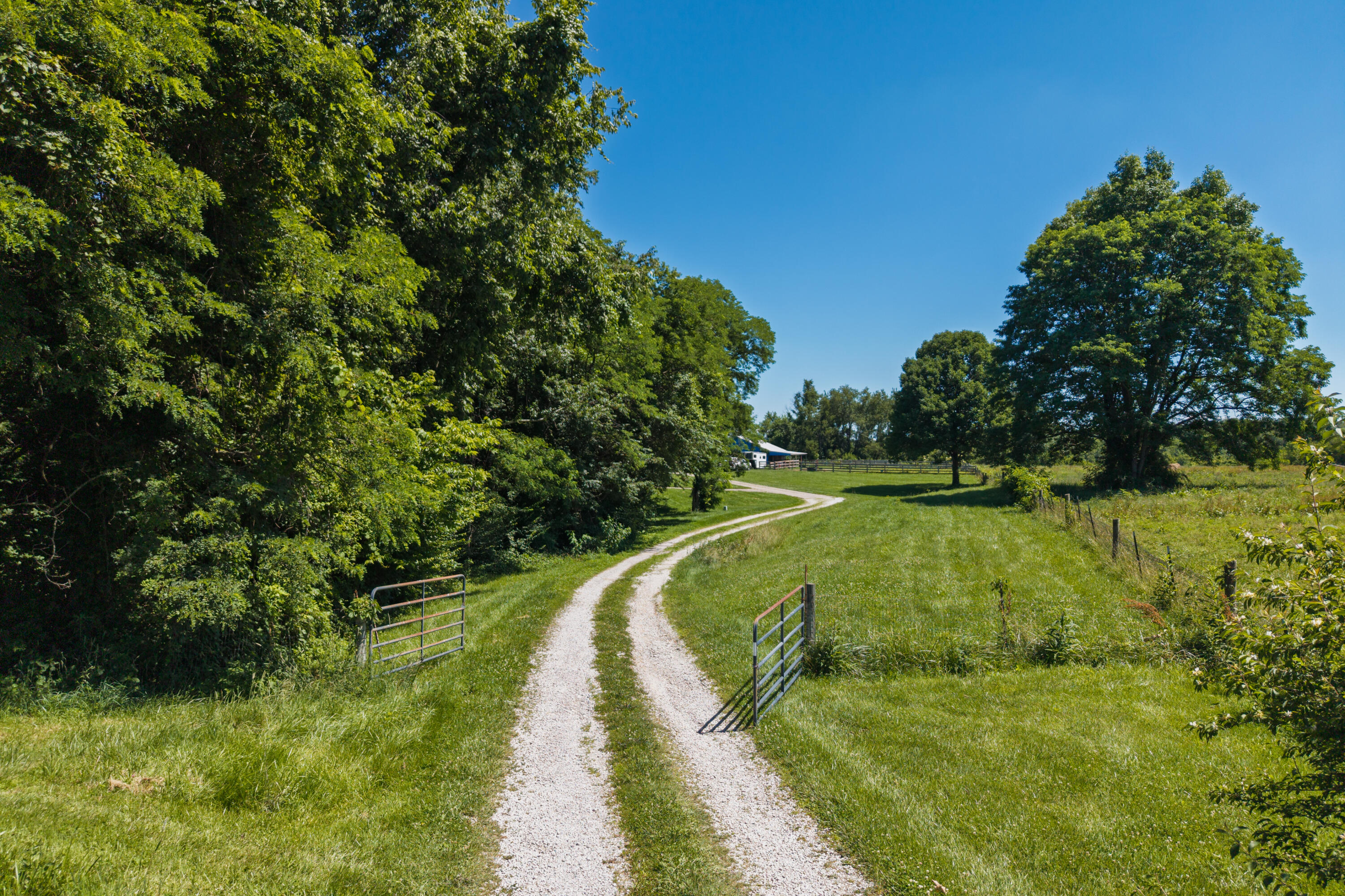 3942 Petersburg Road Burlington, KY 41005 - Photo 6 of 50 Sits back away from main highway which adds privacy and safety for your animals