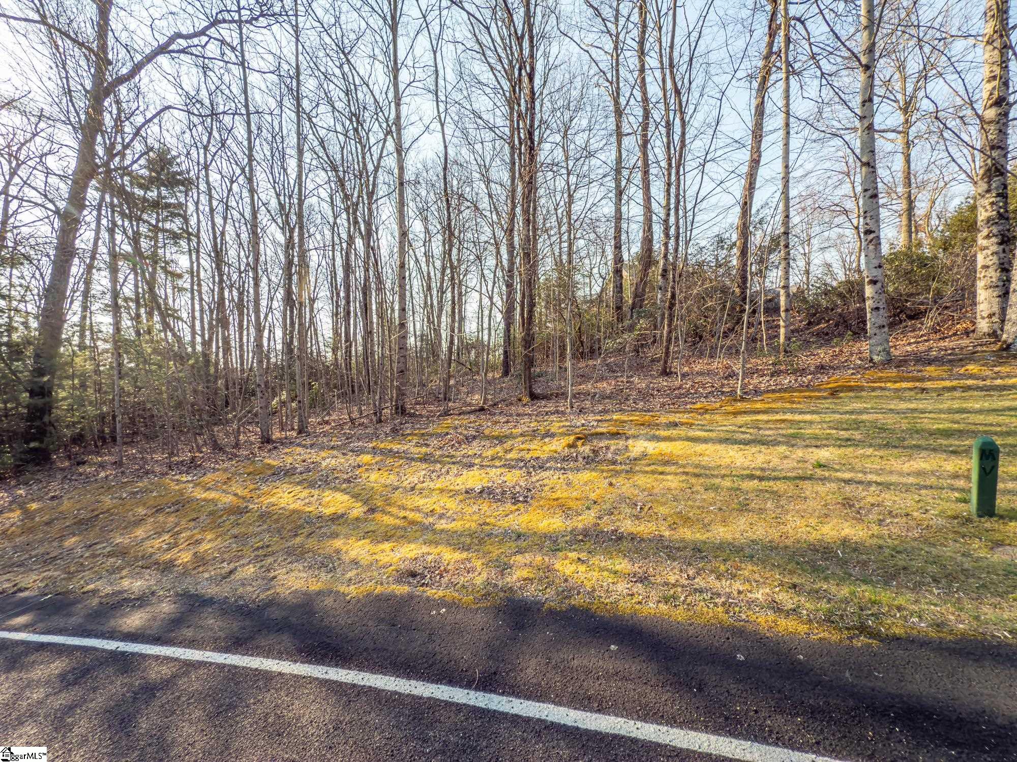 2 Park Green Way Landrum, SC 29356 - Photo 6 of 23